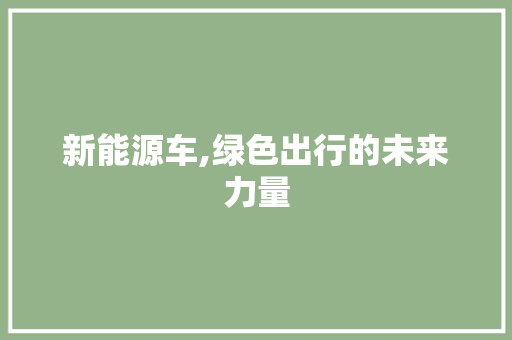 新能源车,绿色出行的未来力量 车联网技术
