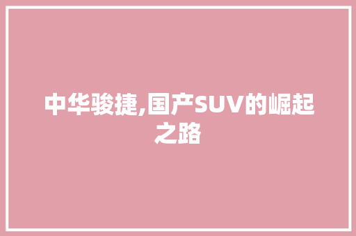 中华骏捷,国产SUV的崛起之路