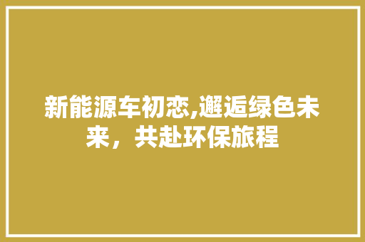 新能源车初恋,邂逅绿色未来，共赴环保旅程
