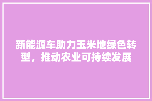 新能源车助力玉米地绿色转型，推动农业可持续发展