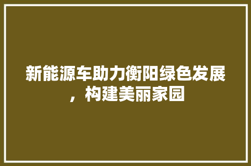 新能源车助力衡阳绿色发展，构建美丽家园 汽车保养