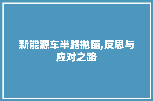 新能源车半路抛锚,反思与应对之路 自动驾驶