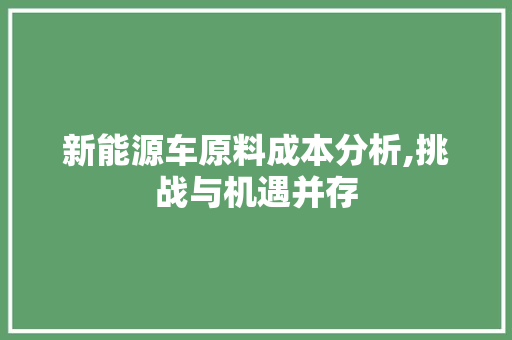 新能源车原料成本分析,挑战与机遇并存 新车资讯