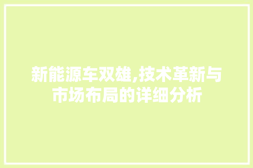 新能源车双雄,技术革新与市场布局的详细分析 车联网技术