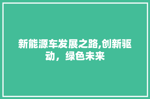 新能源车发展之路,创新驱动，绿色未来 新车资讯