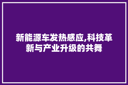 新能源车发热感应,科技革新与产业升级的共舞