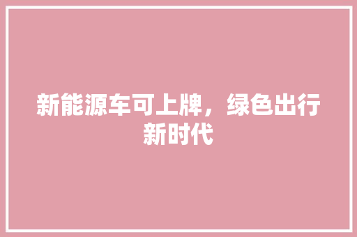 新能源车可上牌，绿色出行新时代 车载导航