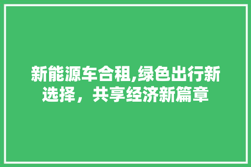 新能源车合租,绿色出行新选择，共享经济新篇章 车型评测