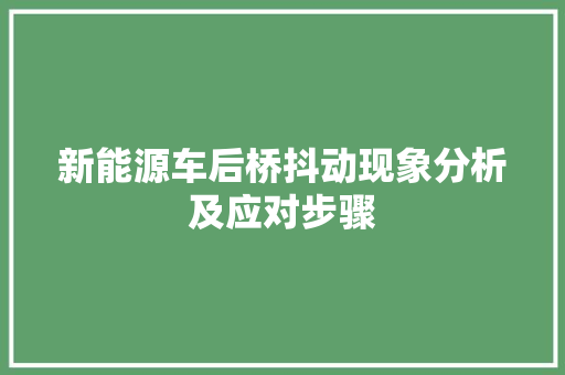新能源车后桥抖动现象分析及应对步骤