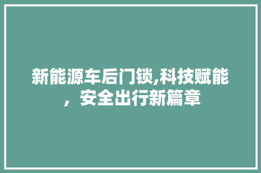 新能源车后门锁,科技赋能，安全出行新篇章 自动驾驶