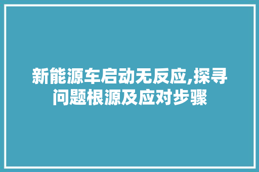 新能源车启动无反应,探寻问题根源及应对步骤