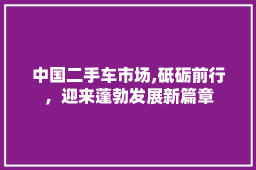 中国二手车市场,砥砺前行，迎来蓬勃发展新篇章