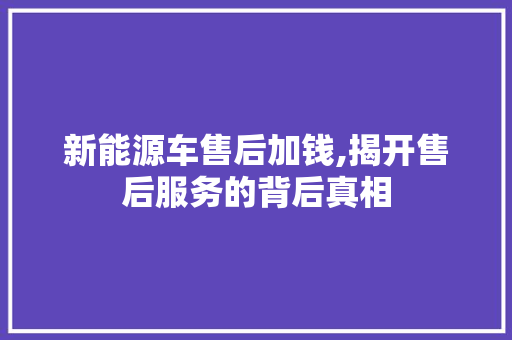 新能源车售后加钱,揭开售后服务的背后真相 智能驾驶