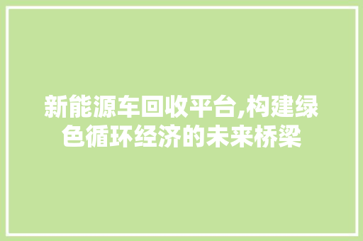 新能源车回收平台,构建绿色循环经济的未来桥梁 车联网技术
