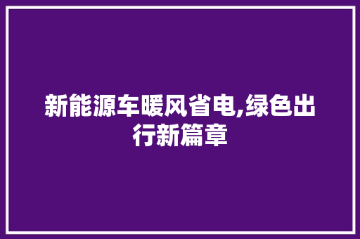 新能源车暖风省电,绿色出行新篇章 智能驾驶