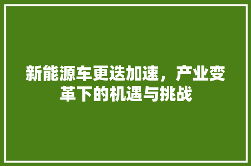 新能源车更迭加速，产业变革下的机遇与挑战 智能驾驶