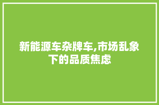 新能源车杂牌车,市场乱象下的品质焦虑