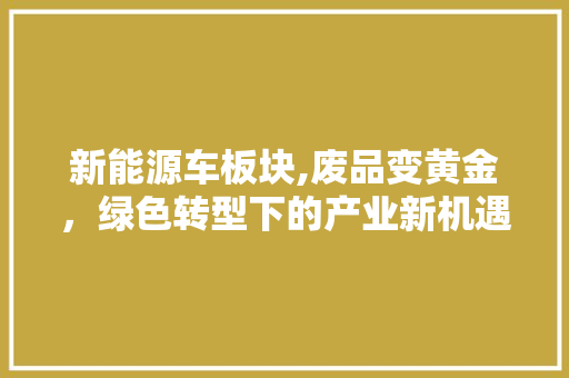 新能源车板块,废品变黄金，绿色转型下的产业新机遇
