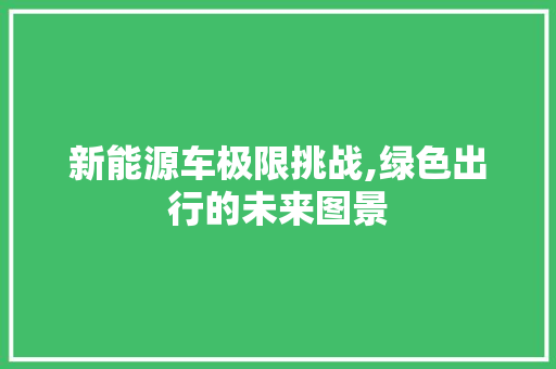 新能源车极限挑战,绿色出行的未来图景