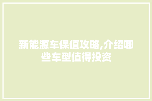 新能源车保值攻略,介绍哪些车型值得投资 汽车展览