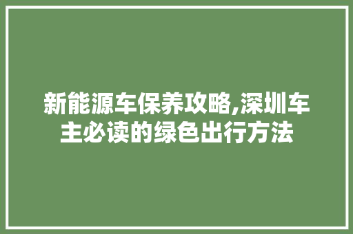 新能源车保养攻略,深圳车主必读的绿色出行方法
