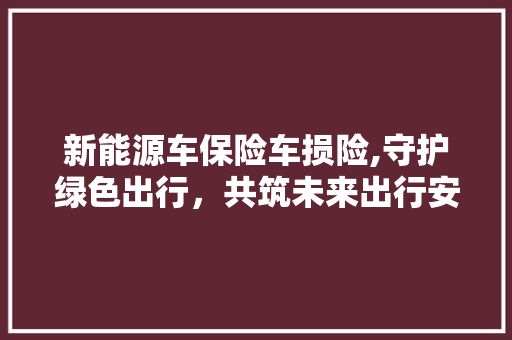 新能源车保险车损险,守护绿色出行，共筑未来出行安全防线 车联网技术