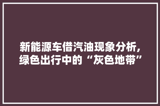 新能源车借汽油现象分析,绿色出行中的“灰色地带”