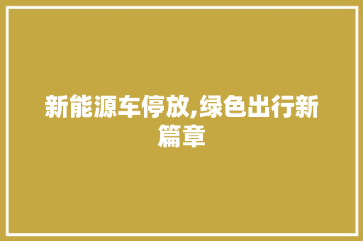 新能源车停放,绿色出行新篇章 新能源汽车