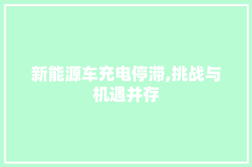 新能源车充电停滞,挑战与机遇并存 智能驾驶