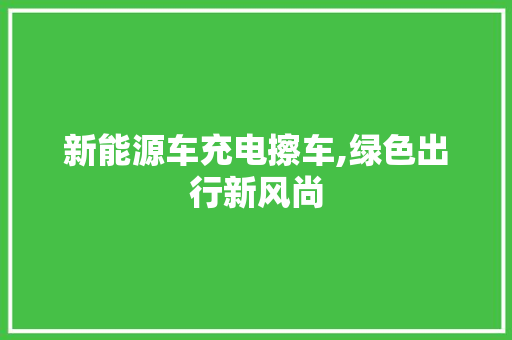 新能源车充电擦车,绿色出行新风尚