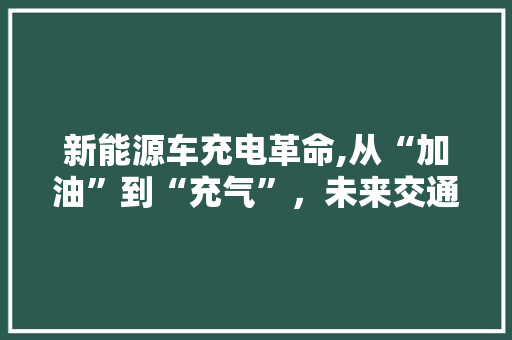 新能源车充电革命,从“加油”到“充气”，未来交通新纪元 新车资讯