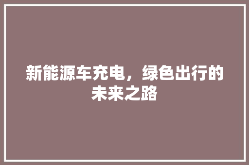 新能源车充电，绿色出行的未来之路 新车资讯