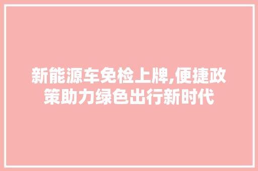 新能源车免检上牌,便捷政策助力绿色出行新时代 车载导航
