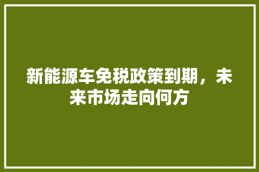 新能源车免税政策到期，未来市场走向何方 自动驾驶