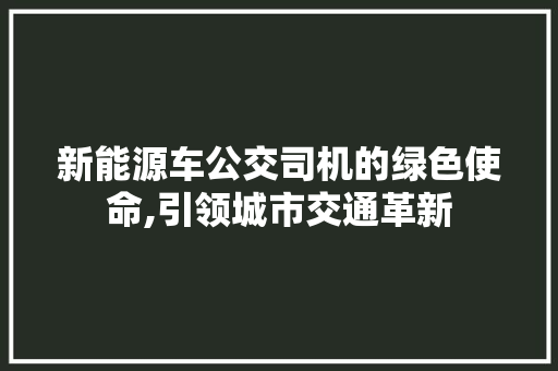 新能源车公交司机的绿色使命,引领城市交通革新