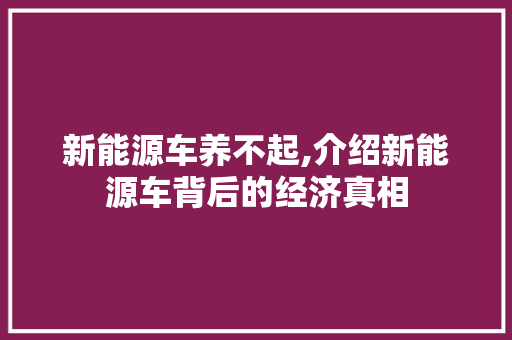 新能源车养不起,介绍新能源车背后的经济真相