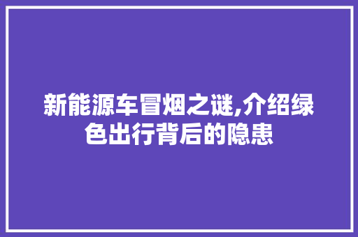 新能源车冒烟之谜,介绍绿色出行背后的隐患 混合动力车