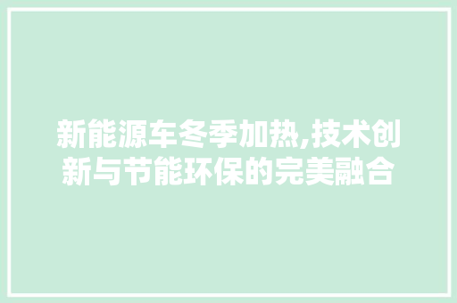 新能源车冬季加热,技术创新与节能环保的完美融合