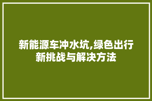 新能源车冲水坑,绿色出行新挑战与解决方法