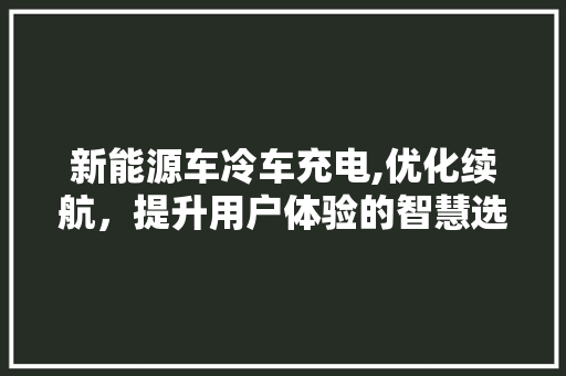 新能源车冷车充电,优化续航，提升用户体验的智慧选择