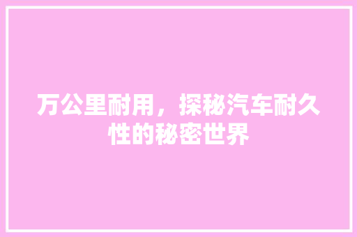 万公里耐用，探秘汽车耐久性的秘密世界
