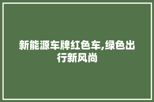 新能源车牌红色车,绿色出行新风尚 汽车展览