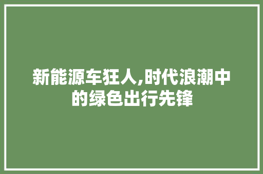 新能源车狂人,时代浪潮中的绿色出行先锋 智能驾驶