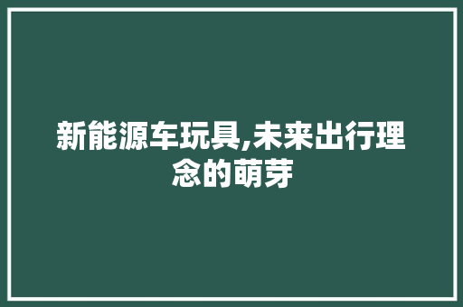 新能源车玩具,未来出行理念的萌芽 新能源汽车