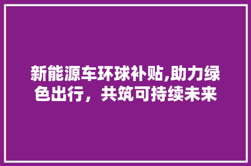 新能源车环球补贴,助力绿色出行，共筑可持续未来 车联网技术