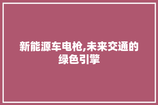 新能源车电枪,未来交通的绿色引擎 汽车配件