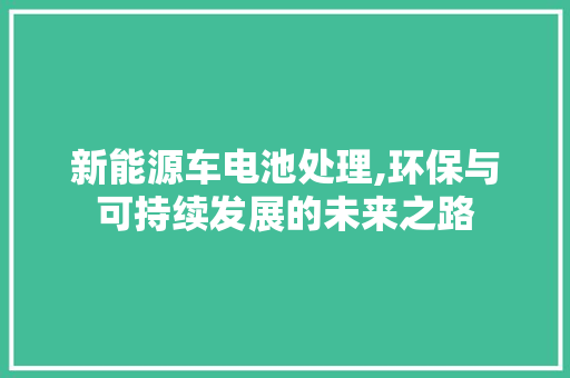 新能源车电池处理,环保与可持续发展的未来之路 汽车保养
