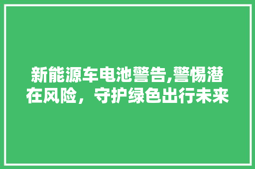 新能源车电池警告,警惕潜在风险，守护绿色出行未来