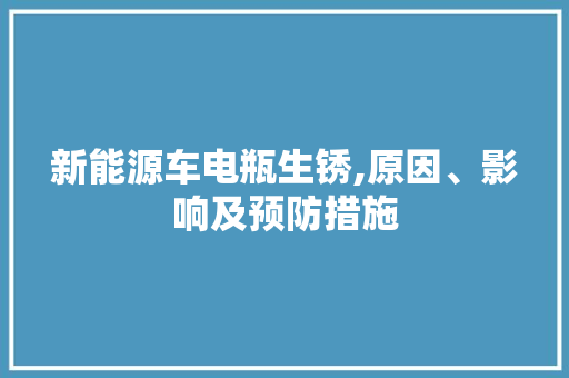 新能源车电瓶生锈,原因、影响及预防措施 自动驾驶