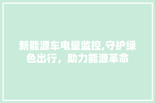 新能源车电量监控,守护绿色出行，助力能源革命